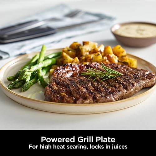 Ninja Foodi Max Pro Health Grill, Flat Plate & Air Fryer 3.8L, 7-in-1, Silver/Black AG651UK