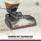Shark CarpetXpert HairPro Pet Deep Carpet Cleaner EX220UK – view 4